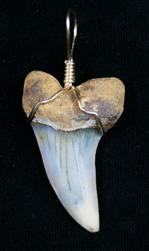 Fossil Mako Tooth Pendant - Bakersfield, CA #8905